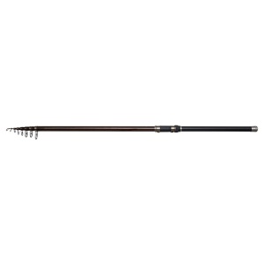 DAM Prut Backbone II Stellfisch 6m 50-100g