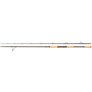 Abu garcia prut beast pro 862 xh power pike 2