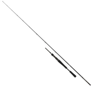 Daiwa prut pro staff  bc 2.00m 30-80g